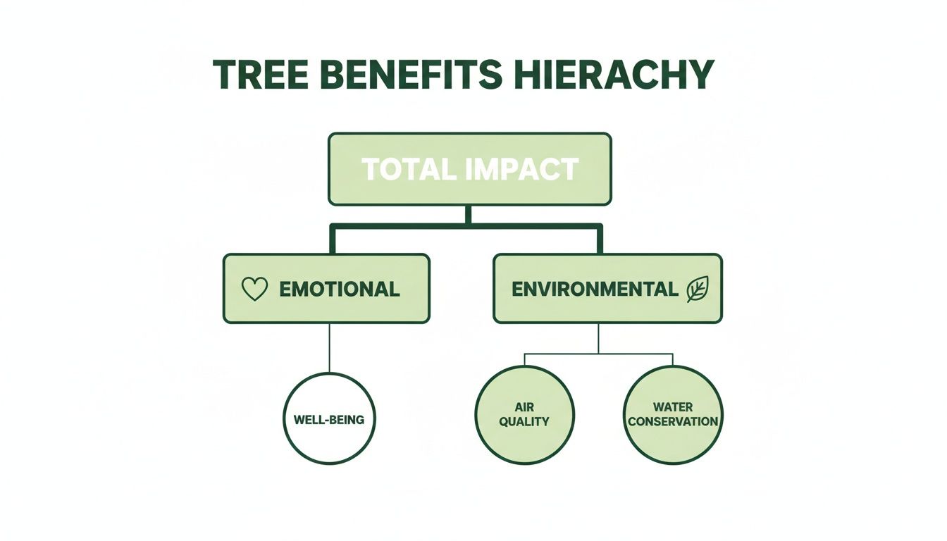 Planting a Memorial Tree A Lasting Tribute for Loved Ones A tree benefits hierarchy diagram showing total impact divided into emotional (well-being) and environmental (air quality, water conservation) benefits.