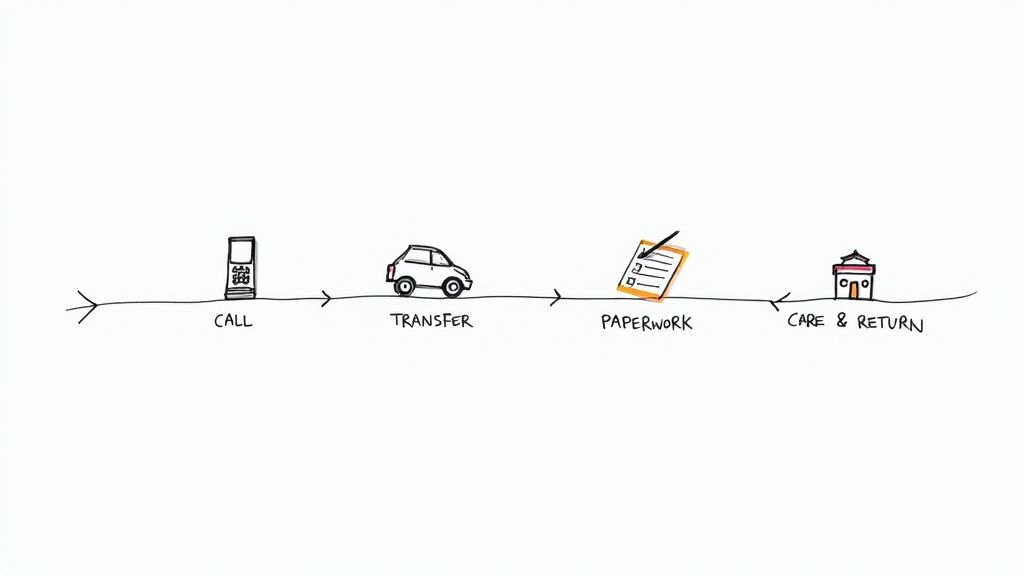 Understanding Funeral Home Services in Texas A simple hand-drawn timeline illustrating four steps of a service process: Call, Transfer, Paperwork, and Care & Return.