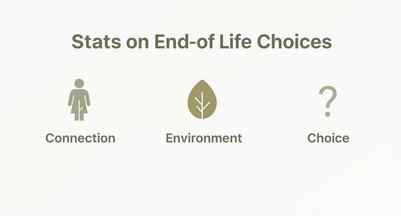 Natural Burial Options A Compassionate Guide Infographic about natural burial options