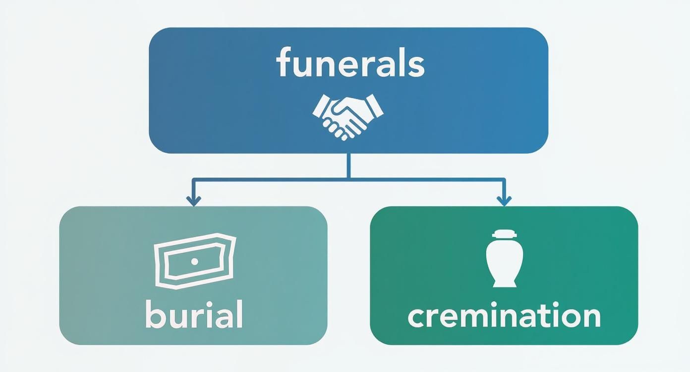 average cost of a funeral in texas: A clear cost guide Flowchart diagram showing funeral service options divided into burial and cremation methods with icons