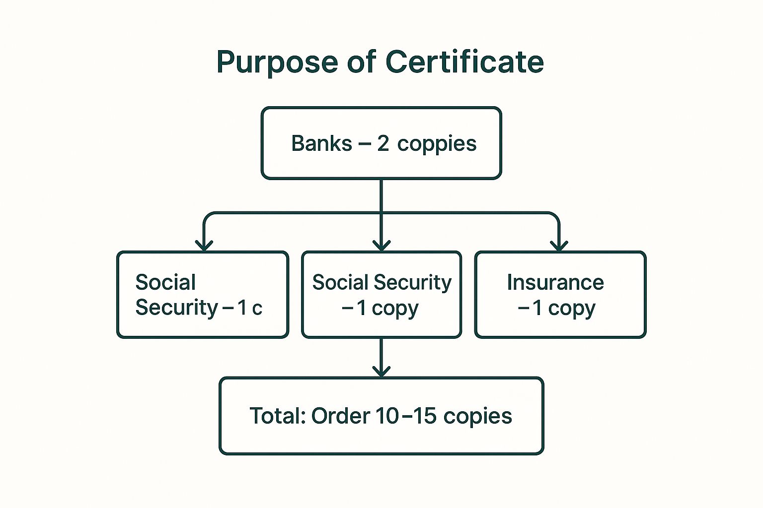 Infographic showing that multiple death certificates are needed for various institutions like banks, Social Security, and insurance, recommending a total order of 10-15 copies.