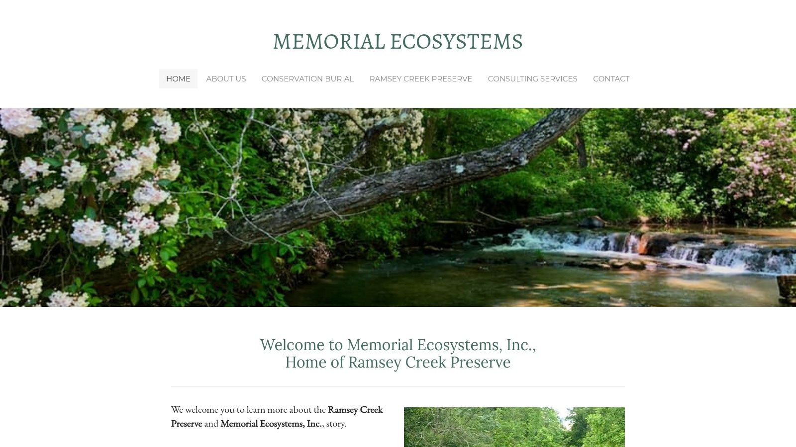 Top Biodegradable Urns for Ashes | Eco-Friendly Memorials Paper Pulp Plantable Urn by Memorial Ecosystems