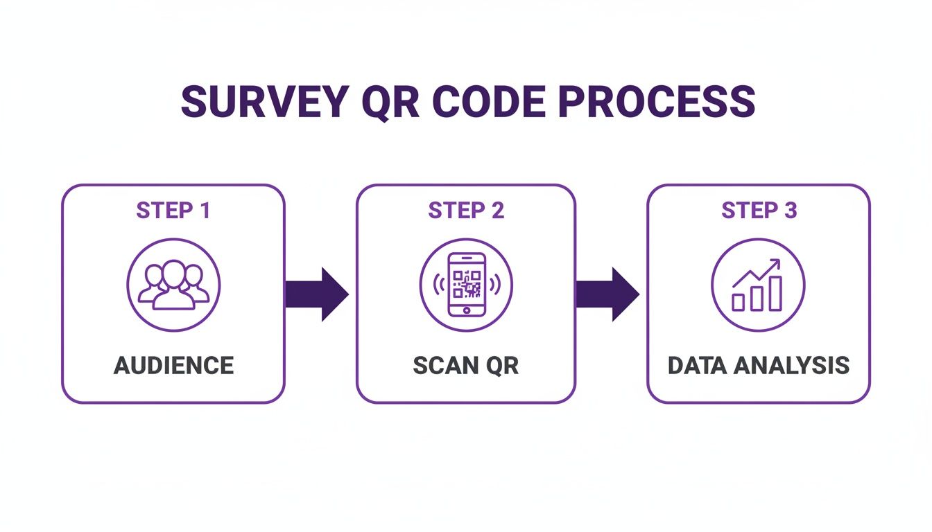 A three-step diagram outlining the survey QR code process: audience, scan QR, and data analysis.