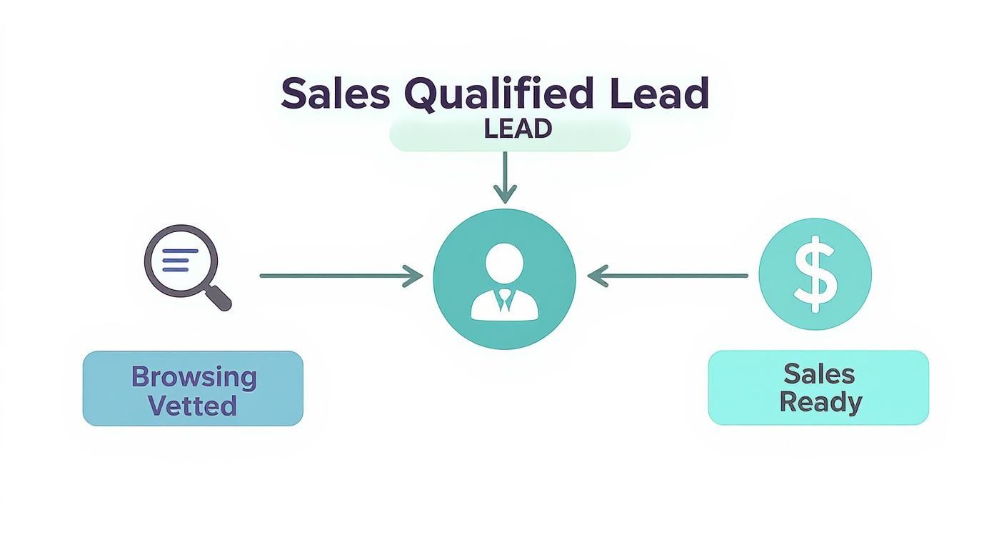 Infographic about what is a sales qualified lead
