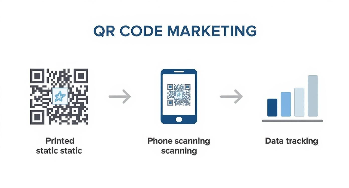 Infographic about qr code benefits