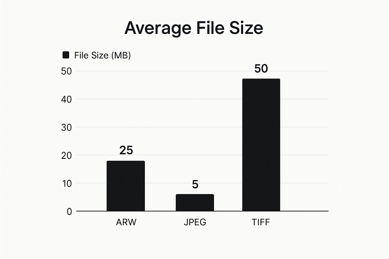 What Are ARW Files A Photographer's Guide 1 Image