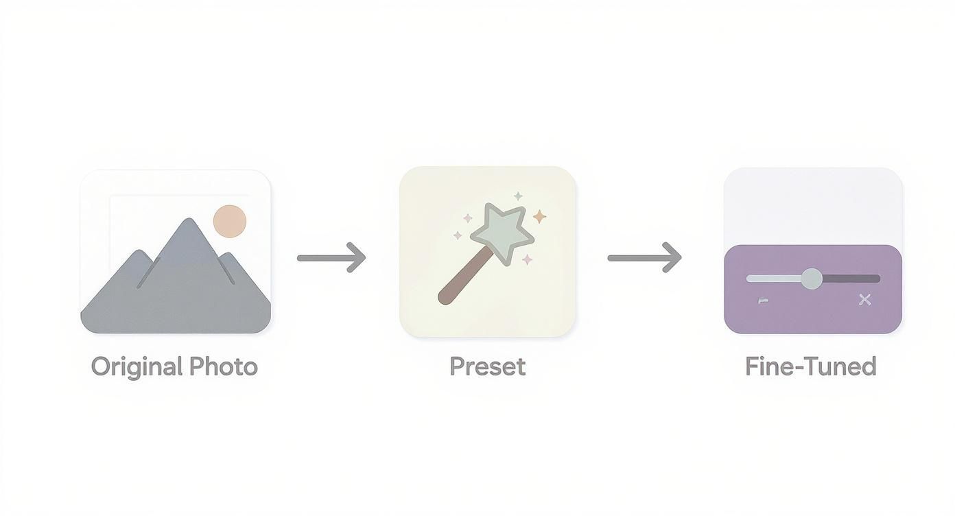 A Guide to Mobile Lightroom Presets 2 Infographic about mobile lightroom presets