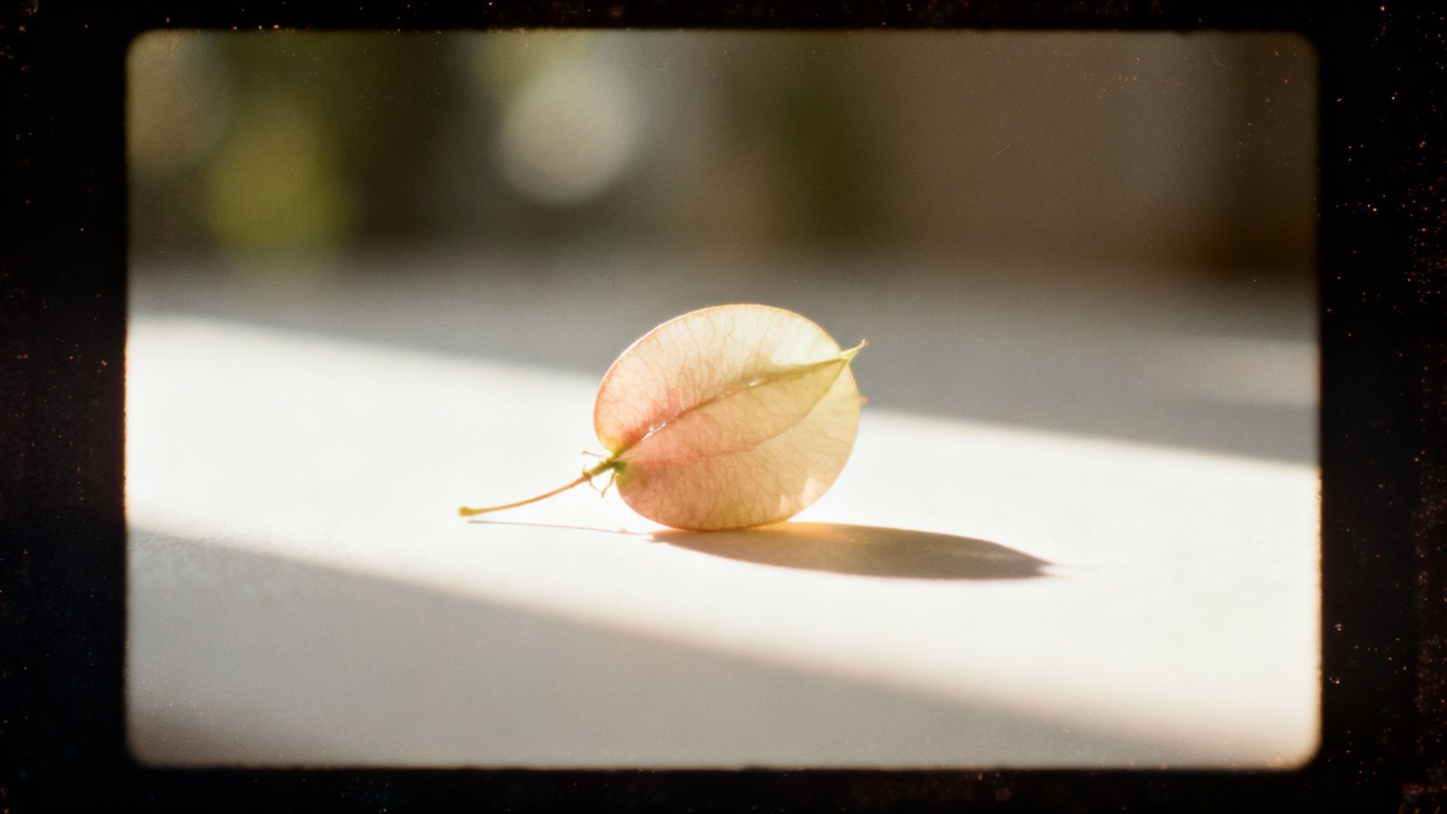 Mastering Color Grading Cinematic for Stunning Videos 4 A close-up shot of a film strip, showing the texture of film grain.