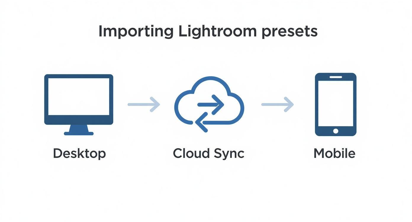 How to import presets lightroom: A Step-by-Step Guide 3 Infographic showing the process flow of importing Lightroom presets from desktop, through cloud sync, to mobile devices.