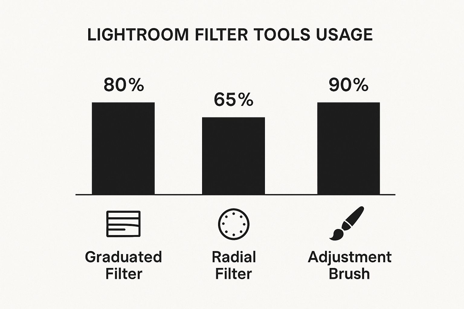 A Pro Guide to Using Filters in Lightroom 1 Image