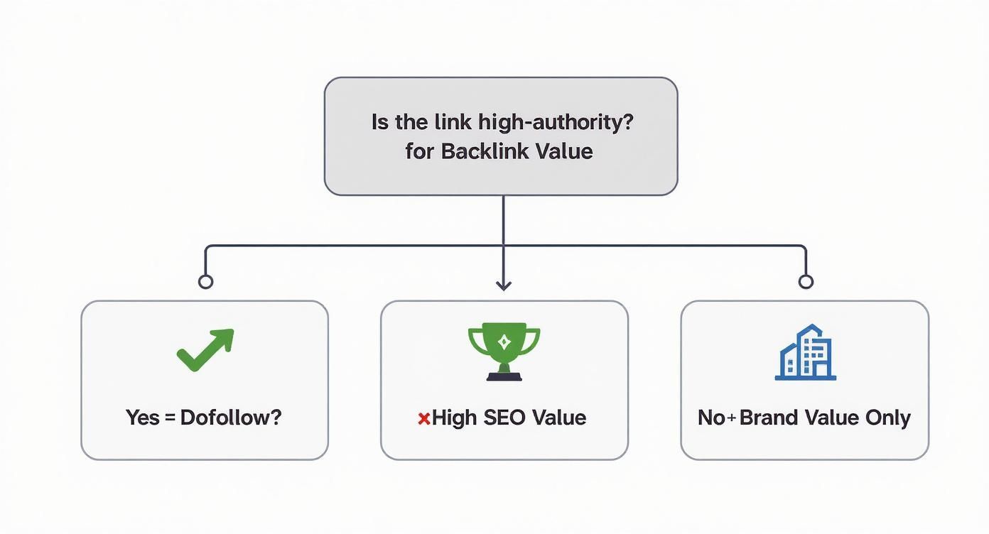 Infographic about get backlinks to my website