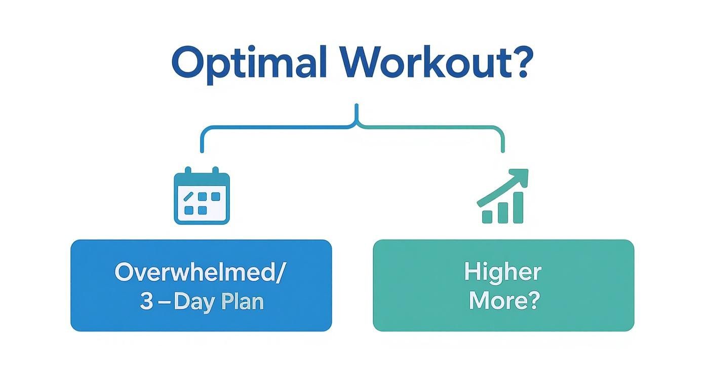A diagram titled 'Optimal Workout?' comparing a '3-Day Plan' for feeling 'Overwhelmed' versus 'Higher More?'.