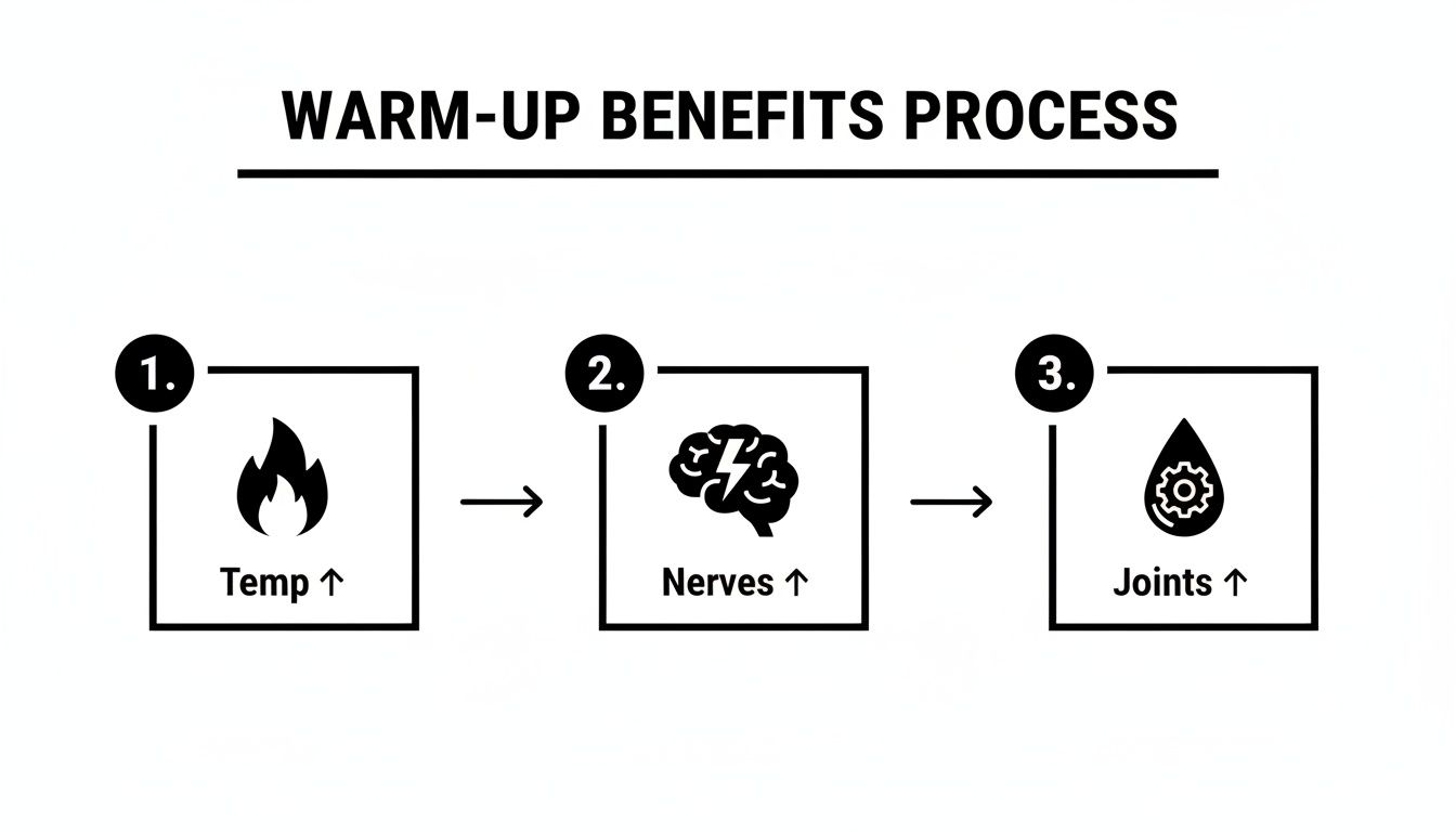 Flowchart illustrating the warm-up benefits process: increased temperature, nervous system activation, and improved joint readiness.
