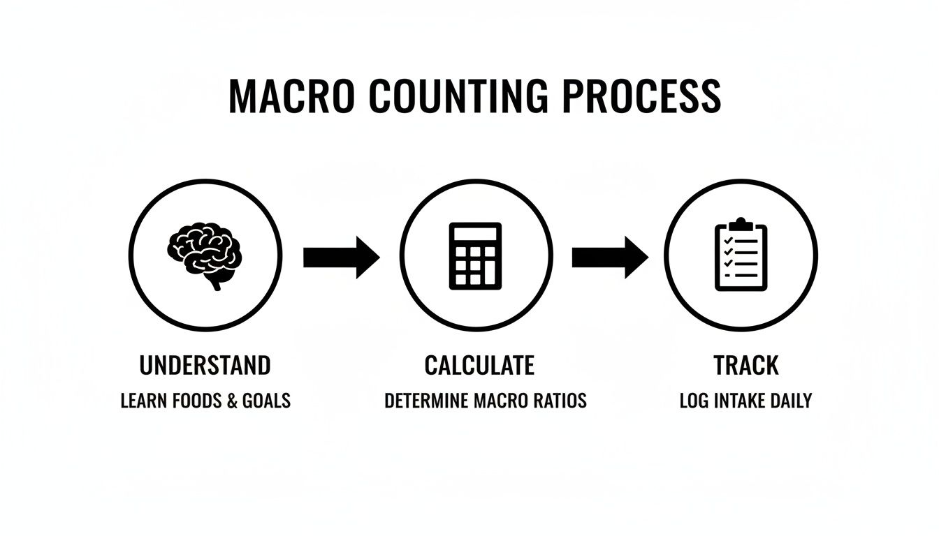 An infographic showing the three steps of the macro counting process: Understand, Calculate, and Track.