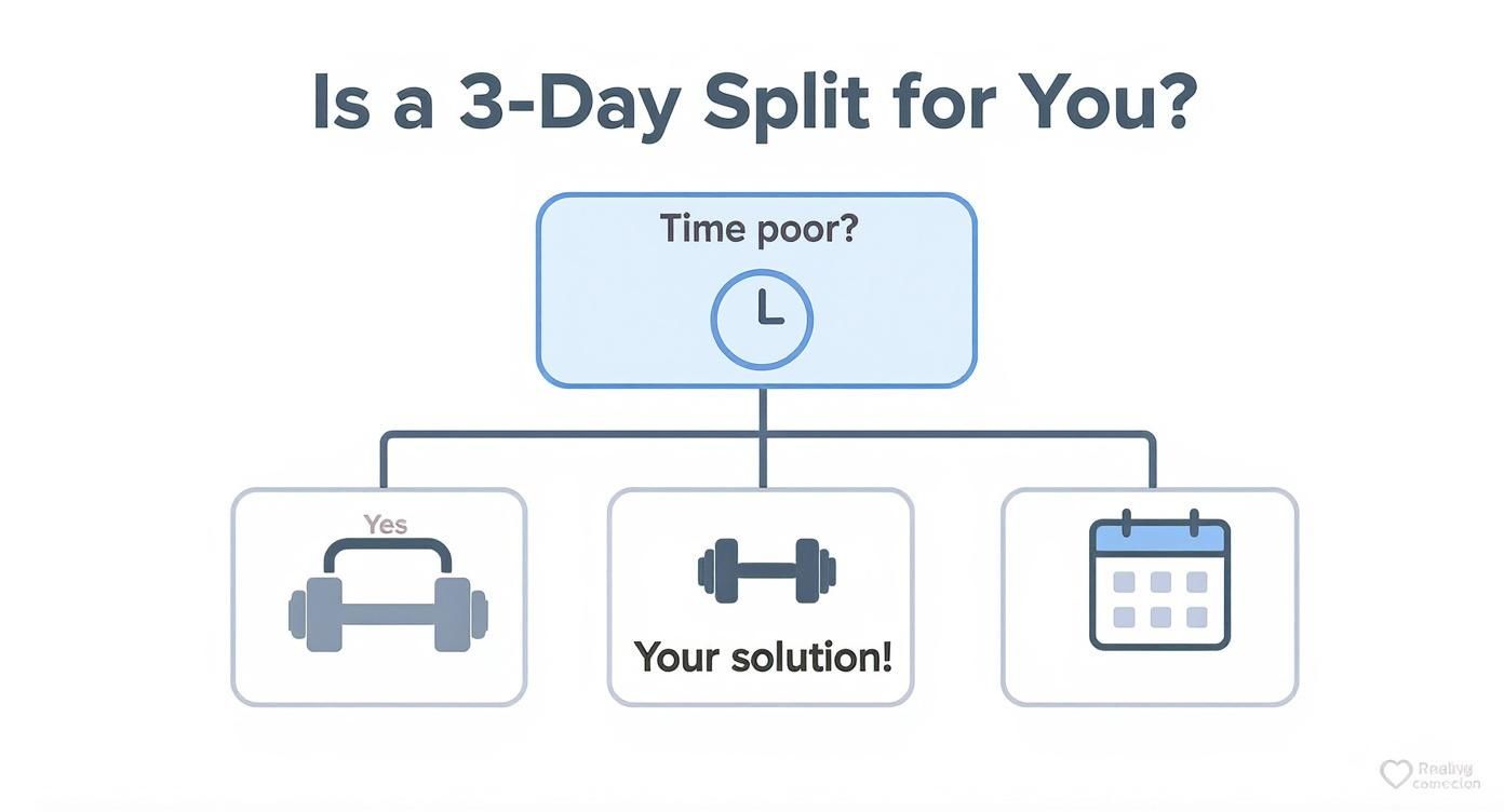 Flowchart explaining if a 3-day workout split is suitable for time-poor individuals, showing dumbbells and a calendar.