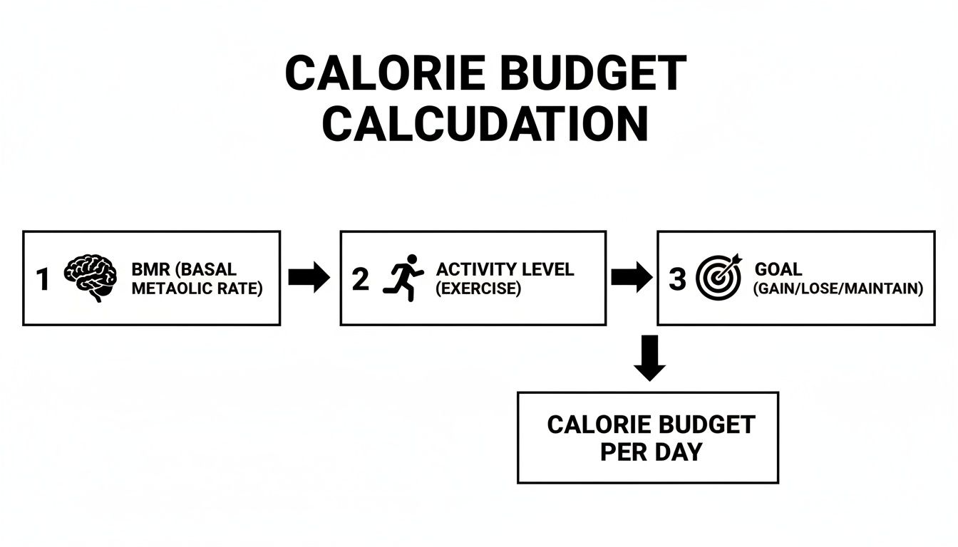 A flowchart illustrating the steps to calculate a daily calorie budget, including BMR, activity level, and goal.