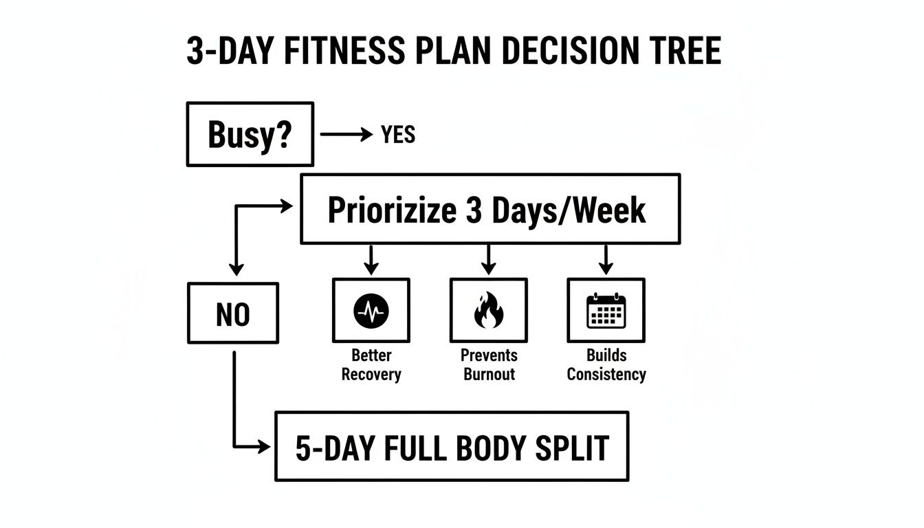 A decision tree for a 3-day fitness plan, guiding users based on their busyness level.