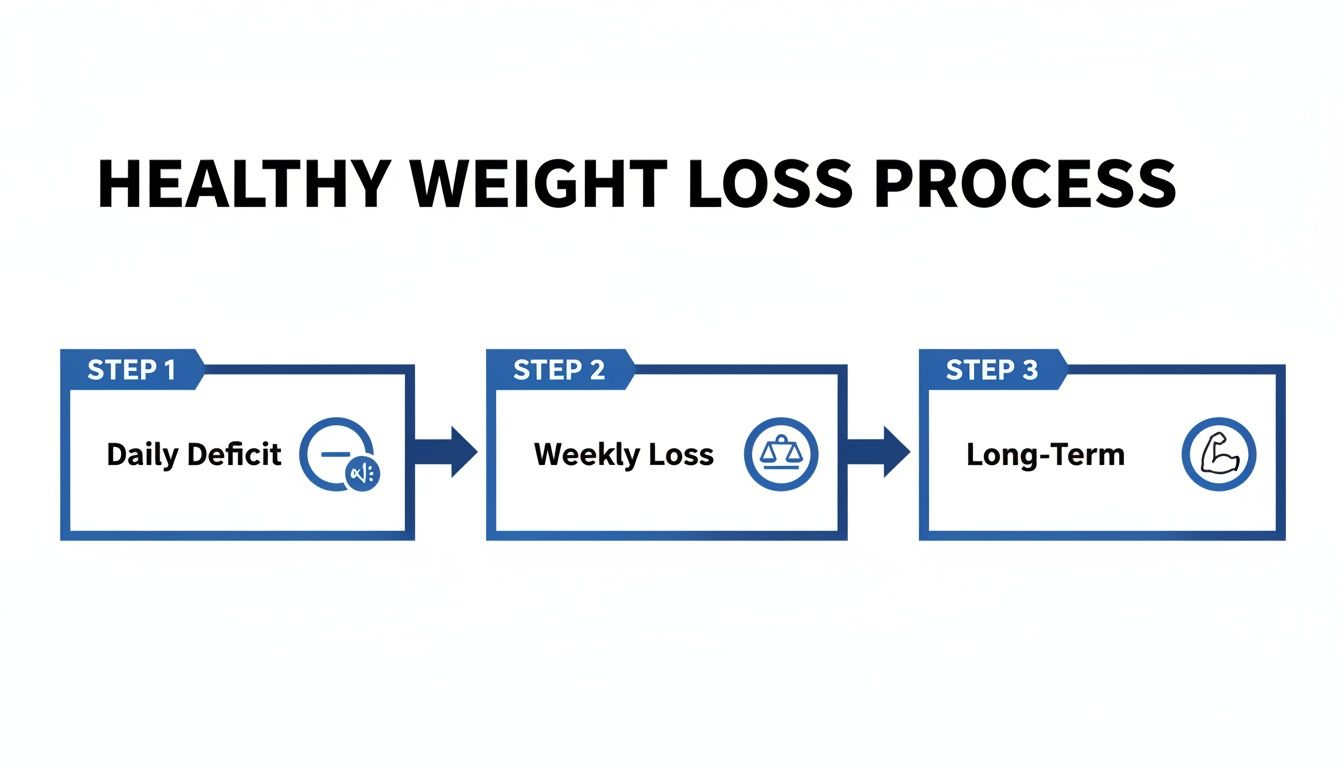 A three-step diagram illustrates the healthy weight loss process, showing daily deficit, weekly loss, and long-term goals.