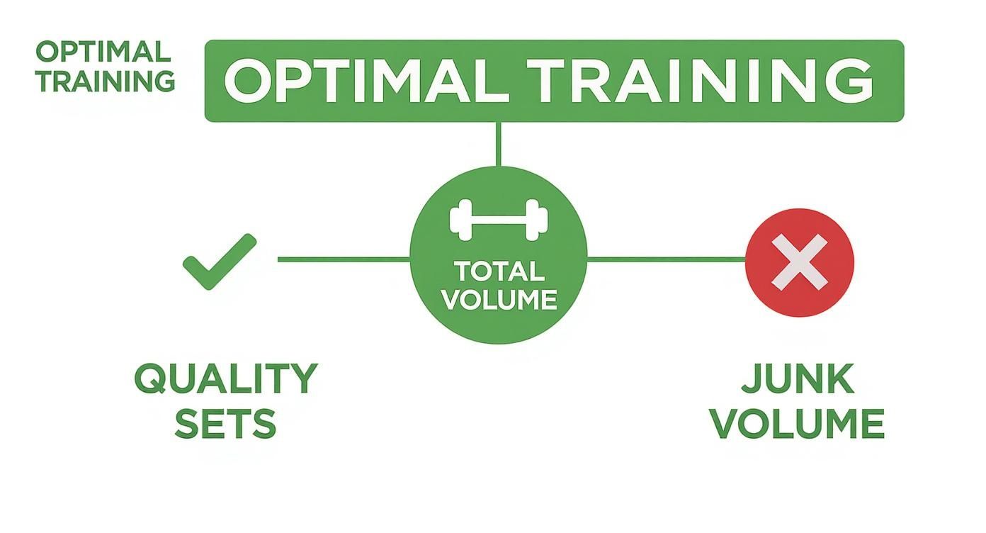 Diagram showing optimal training is achieved by focusing total volume on quality sets, avoiding junk volume.