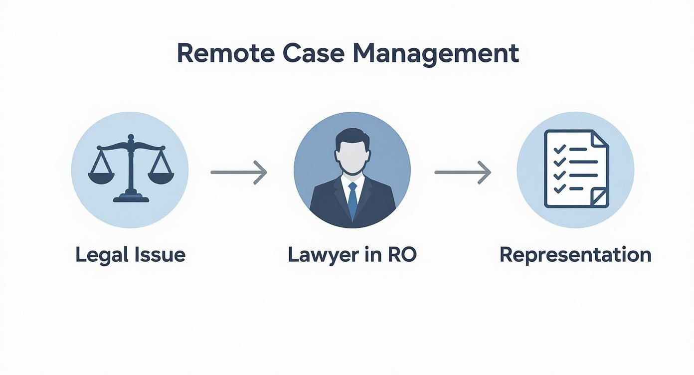 Infographic about romani strainatate reprezentare instanta Romania