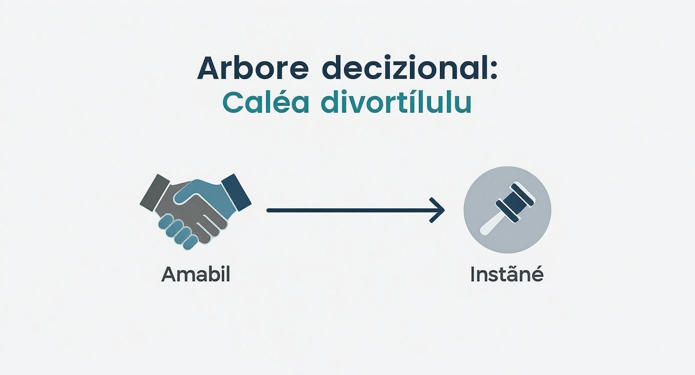Infographic about ce acte trebuie pentru divort