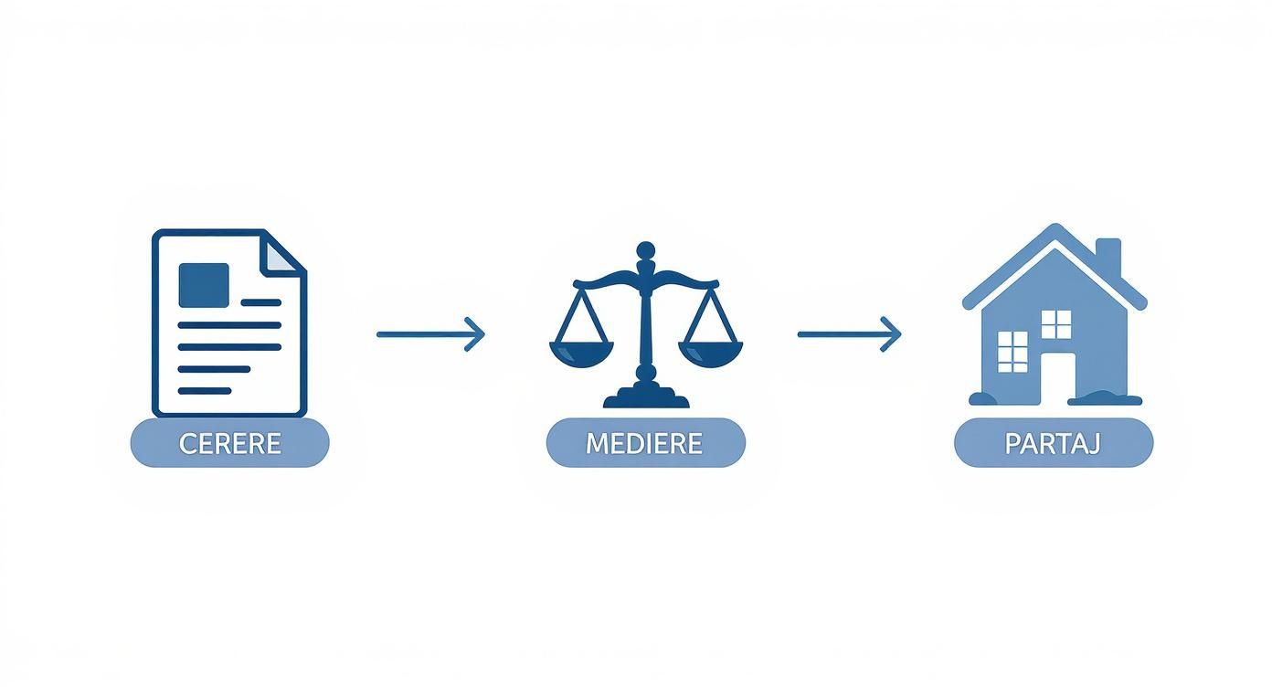 Infografic despre avocat minori si familie Craiova