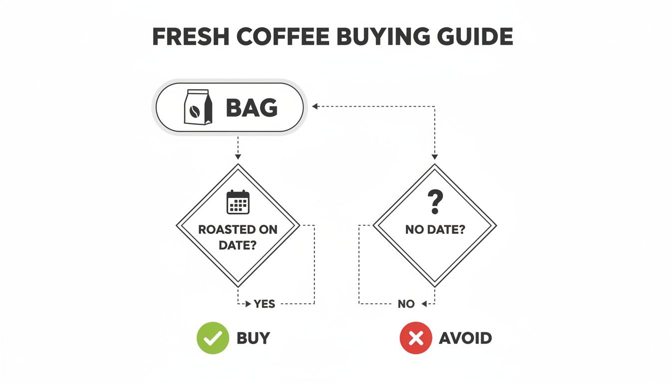 Flowchart illustrating a fresh coffee buying guide: check for 'roasted on date' to buy, otherwise avoid.