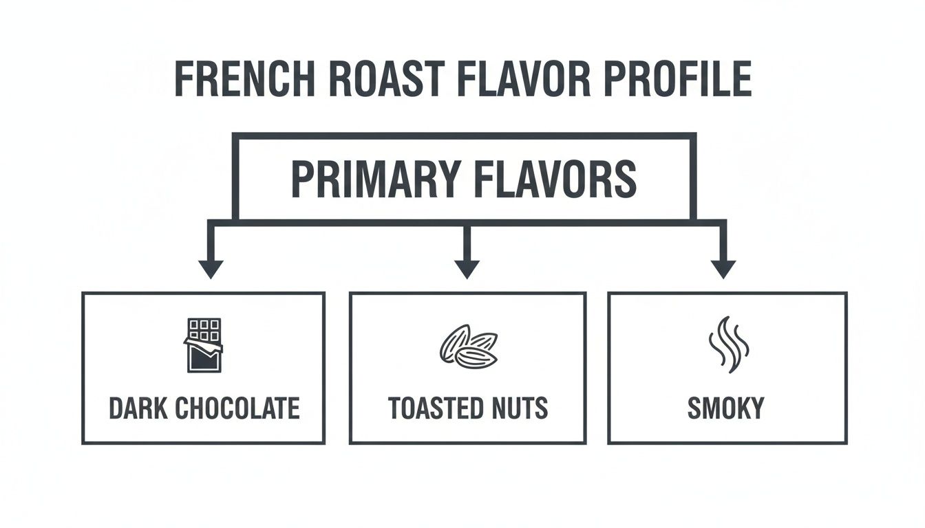 A flowchart detailing the French Roast coffee flavor profile, with primary notes of dark chocolate, toasted nuts, and smoky.