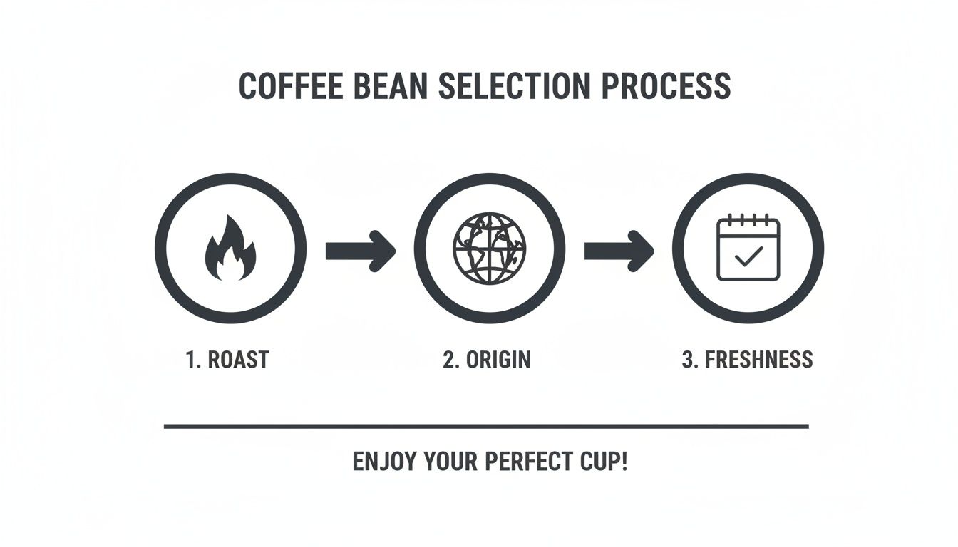 An infographic detailing the coffee bean selection process based on roast, origin, and freshness.