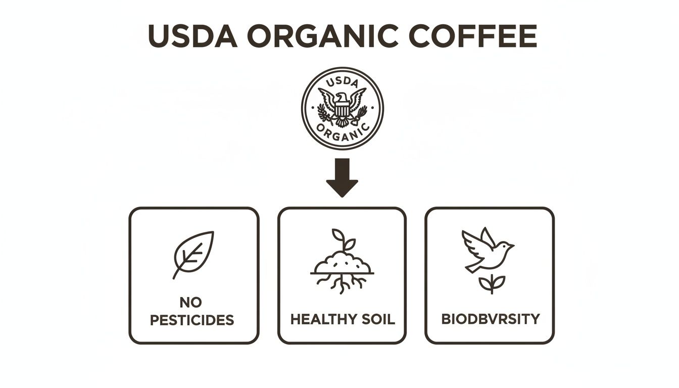An infographic showcasing USDA Organic Coffee benefits: no pesticides, healthy soil, and biodiversity.