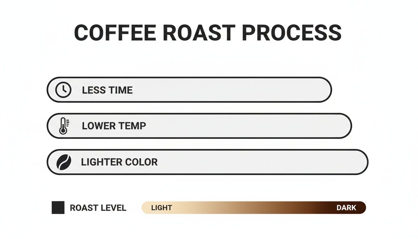 Infographic showing coffee roast process characteristics: less time, lower temperature, and lighter color for light roasts.