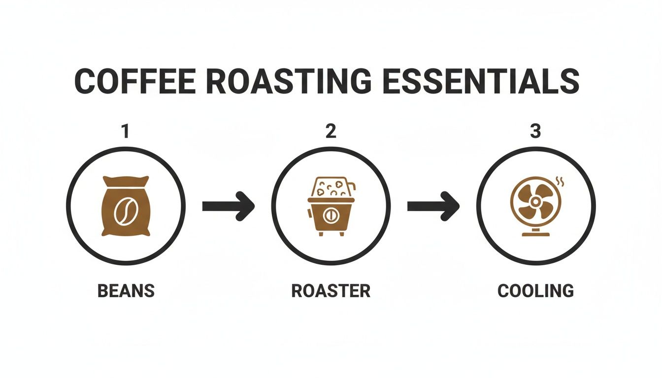 A visual guide showing the coffee roasting essentials process: green beans, a roaster, and a cooling fan.