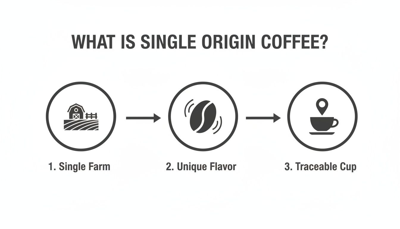 Diagram illustrating the journey of single origin coffee, from a single farm to a traceable cup with unique flavor.