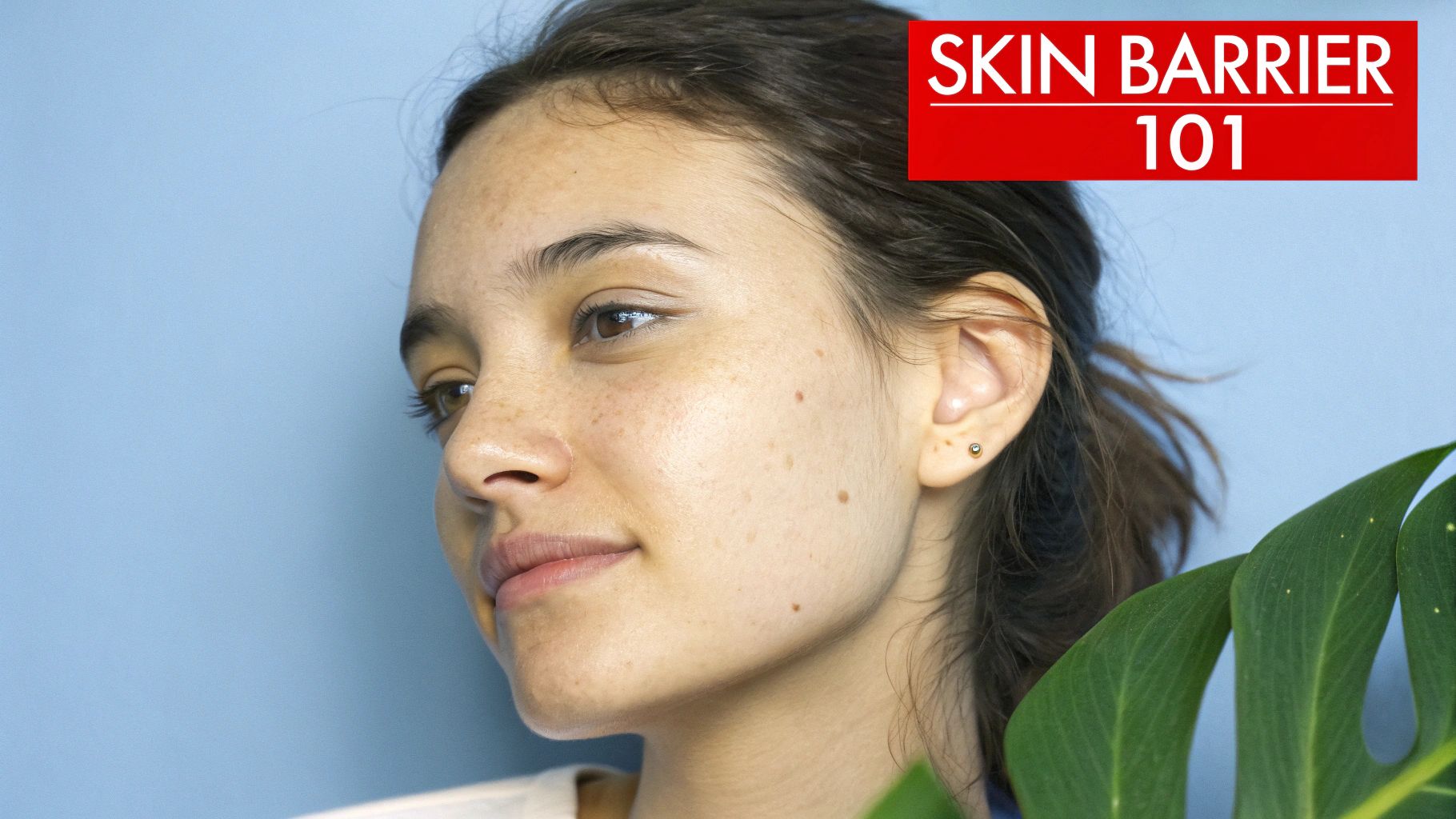 A microscopic view of the skin barrier.