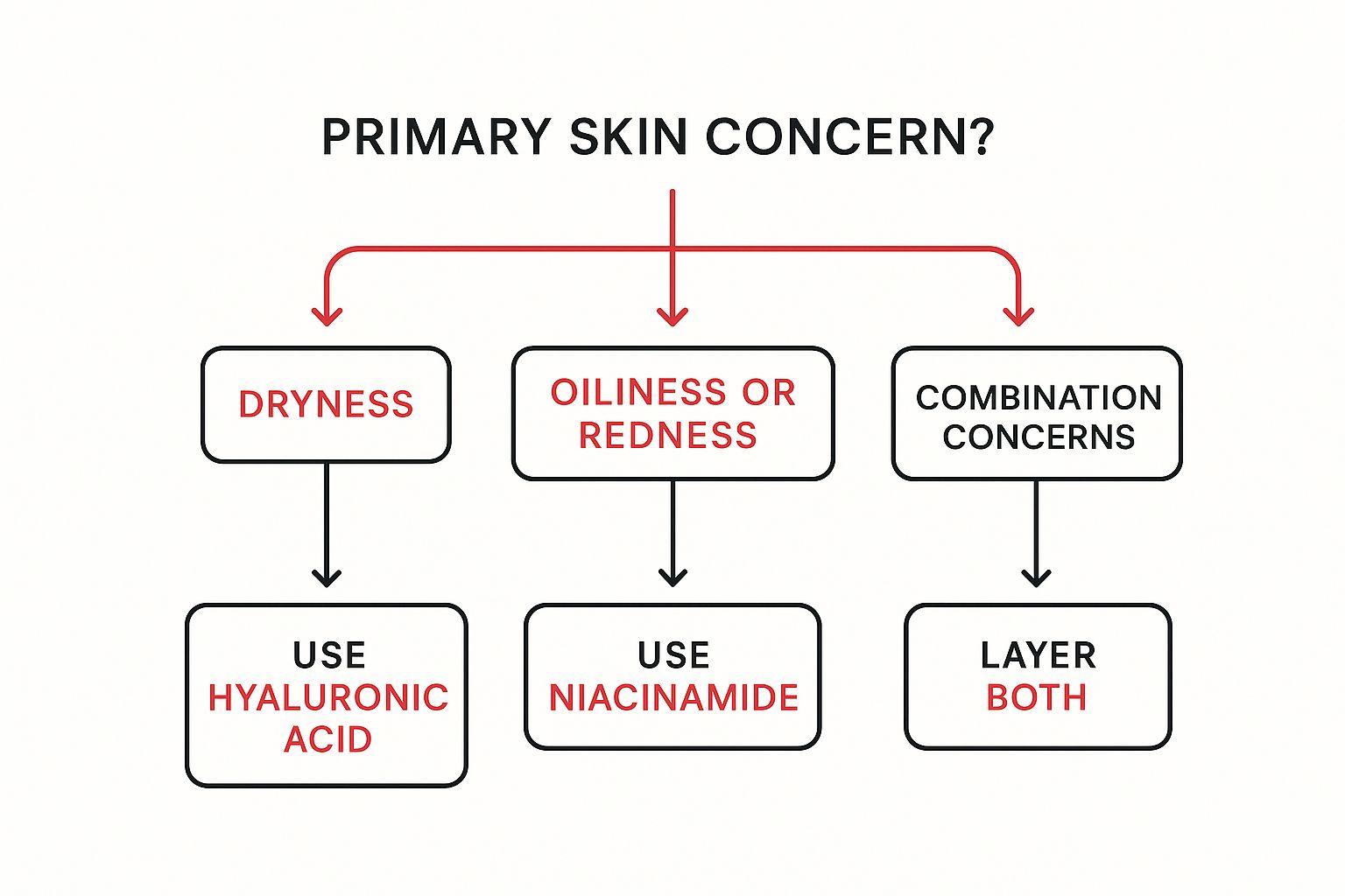 Infographic about hyaluronic acid vs niacinamide