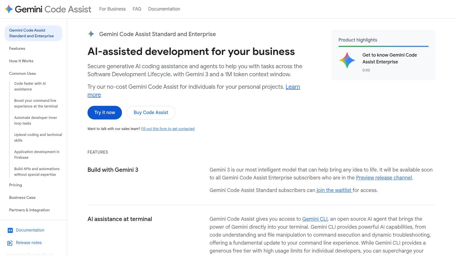 Google Gemini Code Assist
