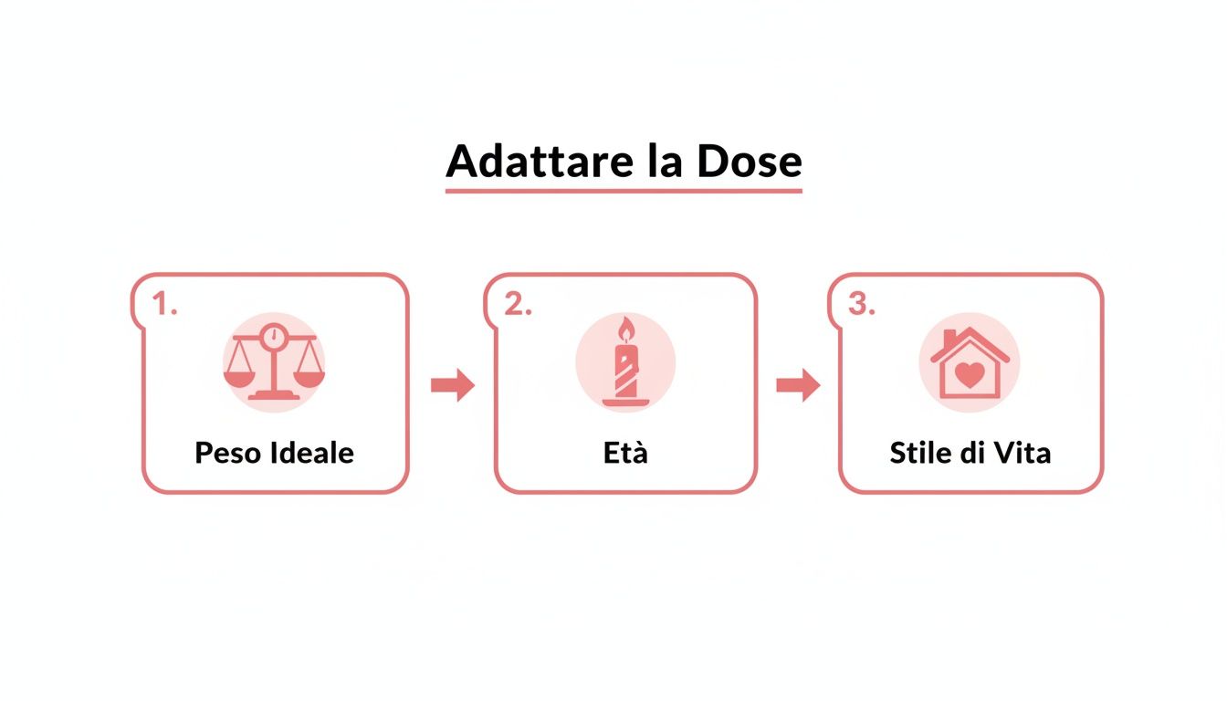 Infografica che illustra i tre fattori chiave per adattare la dose: peso ideale, età e stile di vita.
