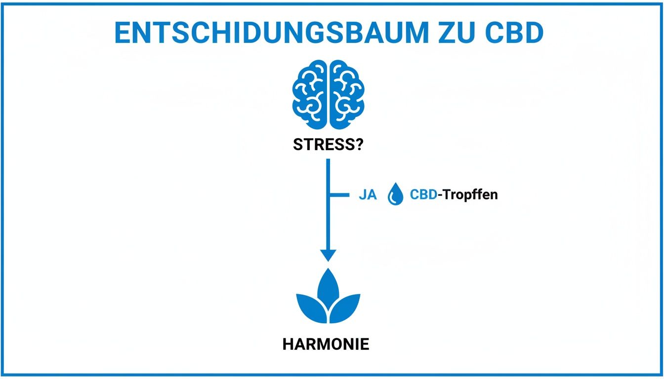Ein Entscheidungsbaum zu CBD: Bei Stress führen CBD-Tropfen zu Harmonie und Entspannung.