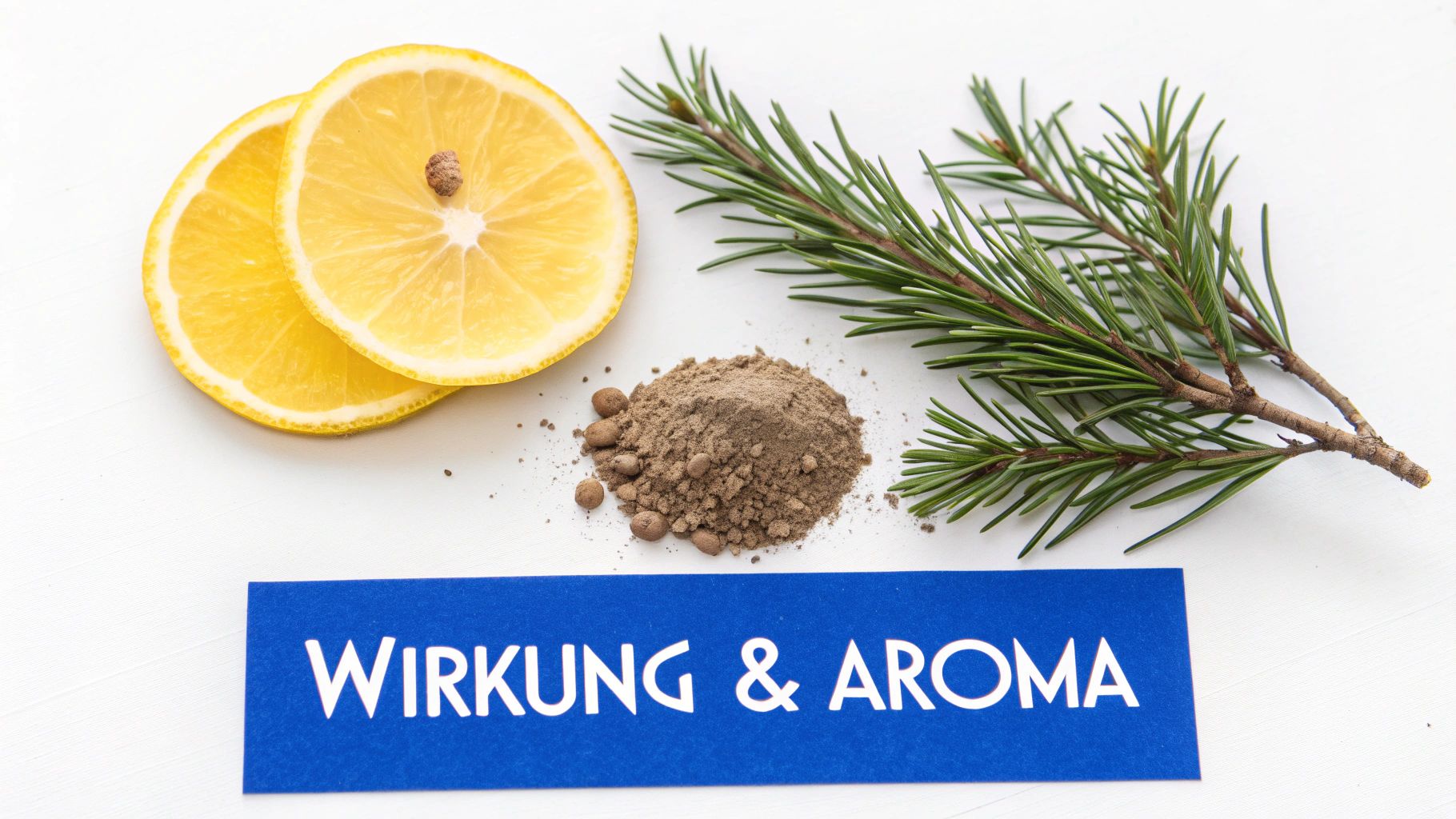 Zitronenscheiben, Kiefernzweig, braunes Pulver und eine blaue Karte mit „WIRKUNG & AROMA“ auf weißem Hintergrund.