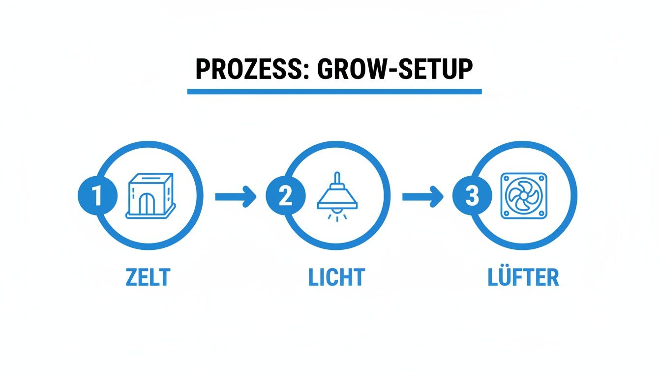 Prozess: Grow-Setup Schritte für Zelt, Licht und Lüfter in drei einfachen Schritten.