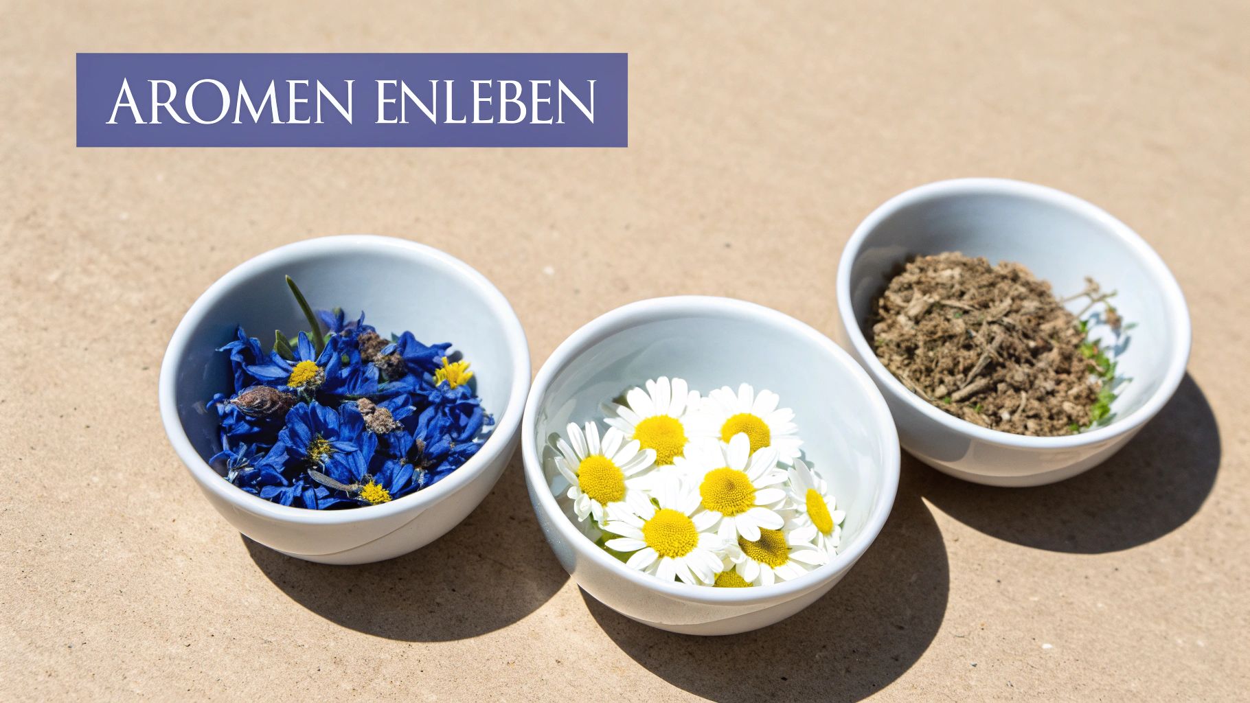 Drei Schalen mit blauen Blüten, Gänseblümchen und getrockneten Kräutern. Banner: „AROMEN ENLEBEN“.