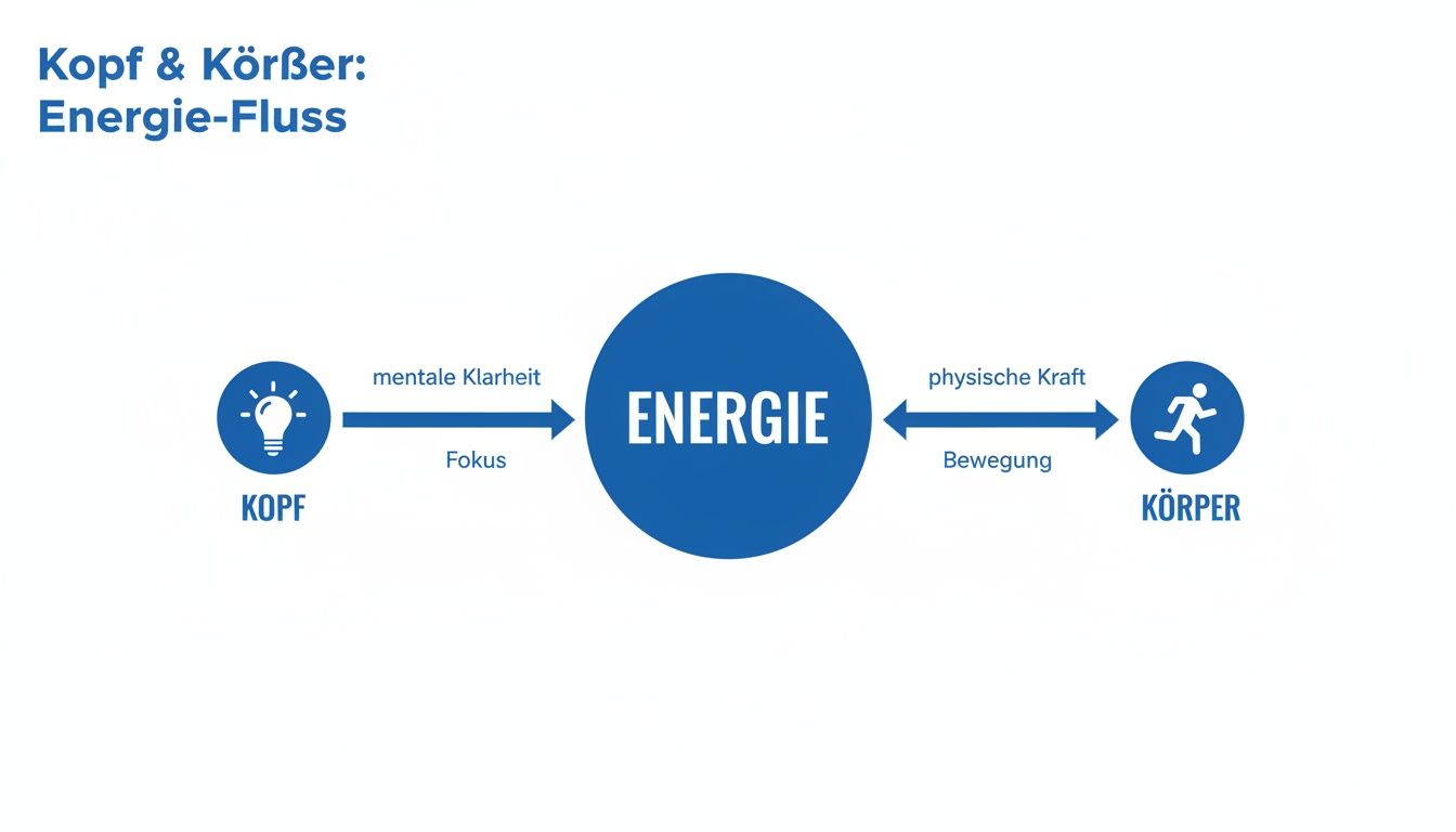 Diagramm zum Energiefluss zwischen Kopf und Körper, darstellend mentale Klarheit, Fokus, physische Kraft und Bewegung.