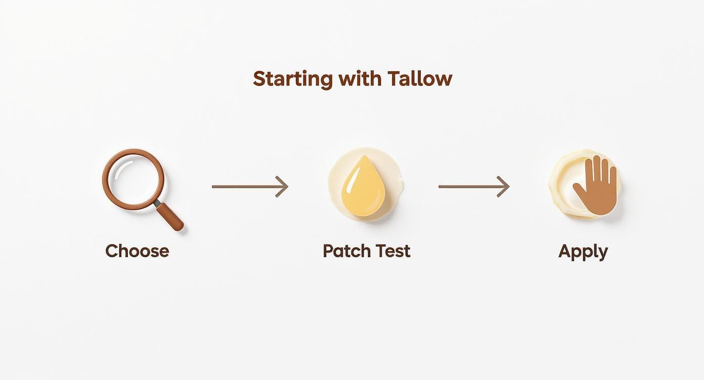 Infographic about tallow for eczema