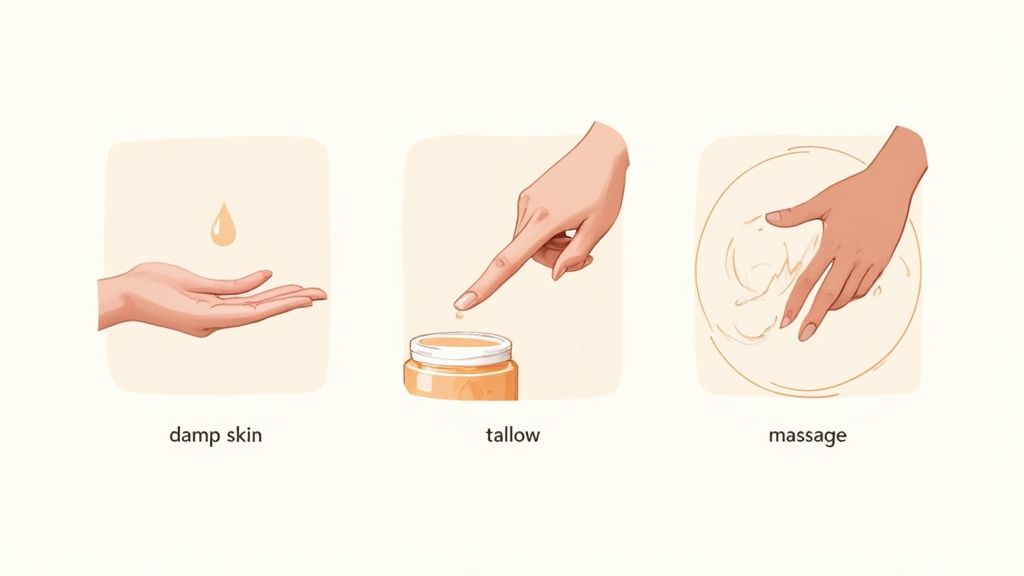 Three-step diagram: apply a drop to damp skin, scoop tallow, then massage for skincare.