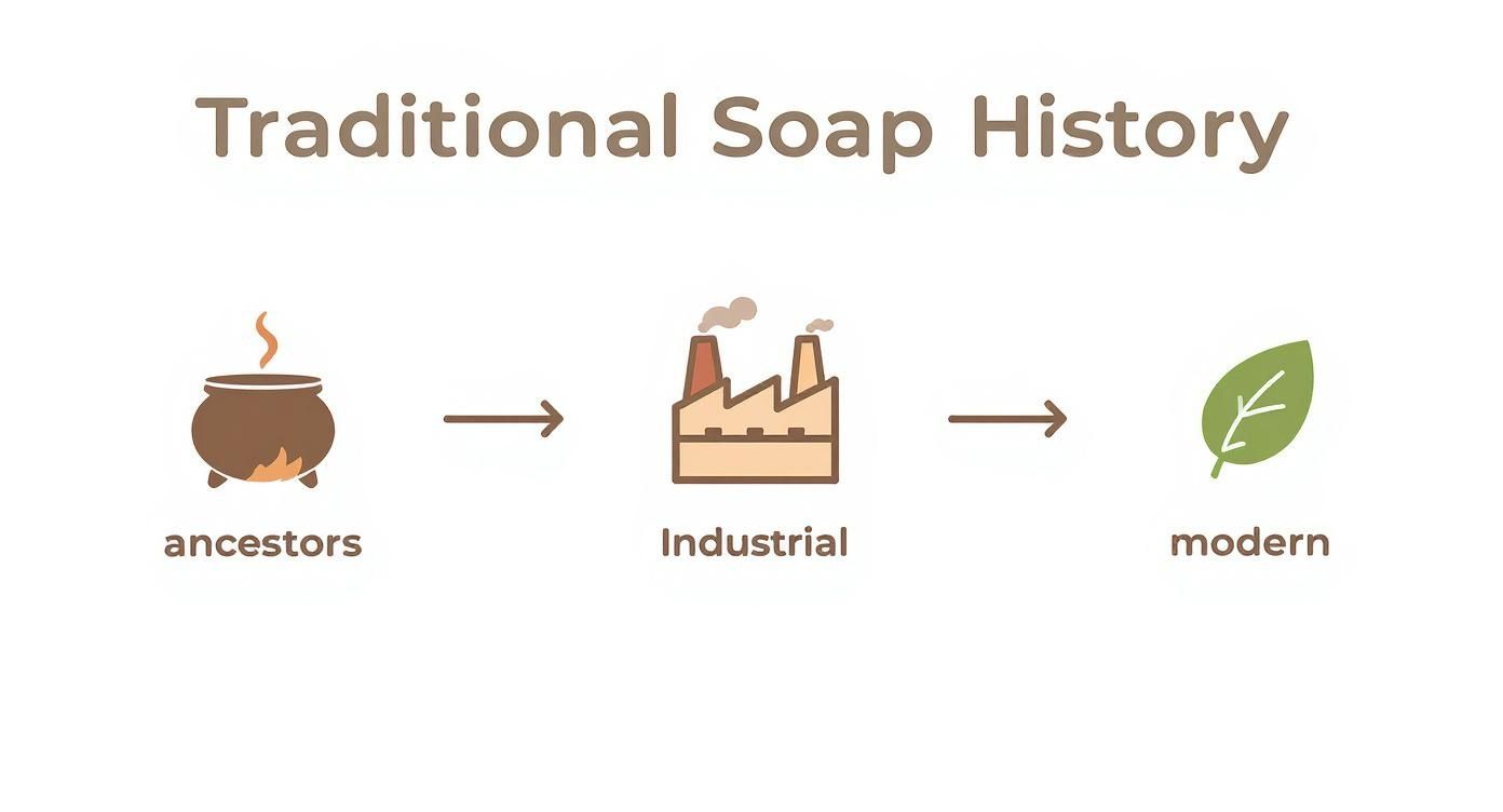 Infographic about what is tallow soap