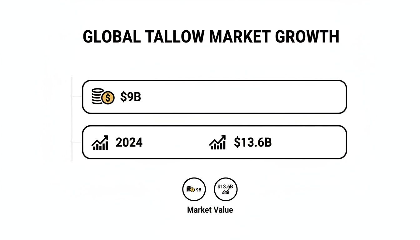 Infographic showing global tallow market growth from $9 billion to $13.6 billion by 2024.