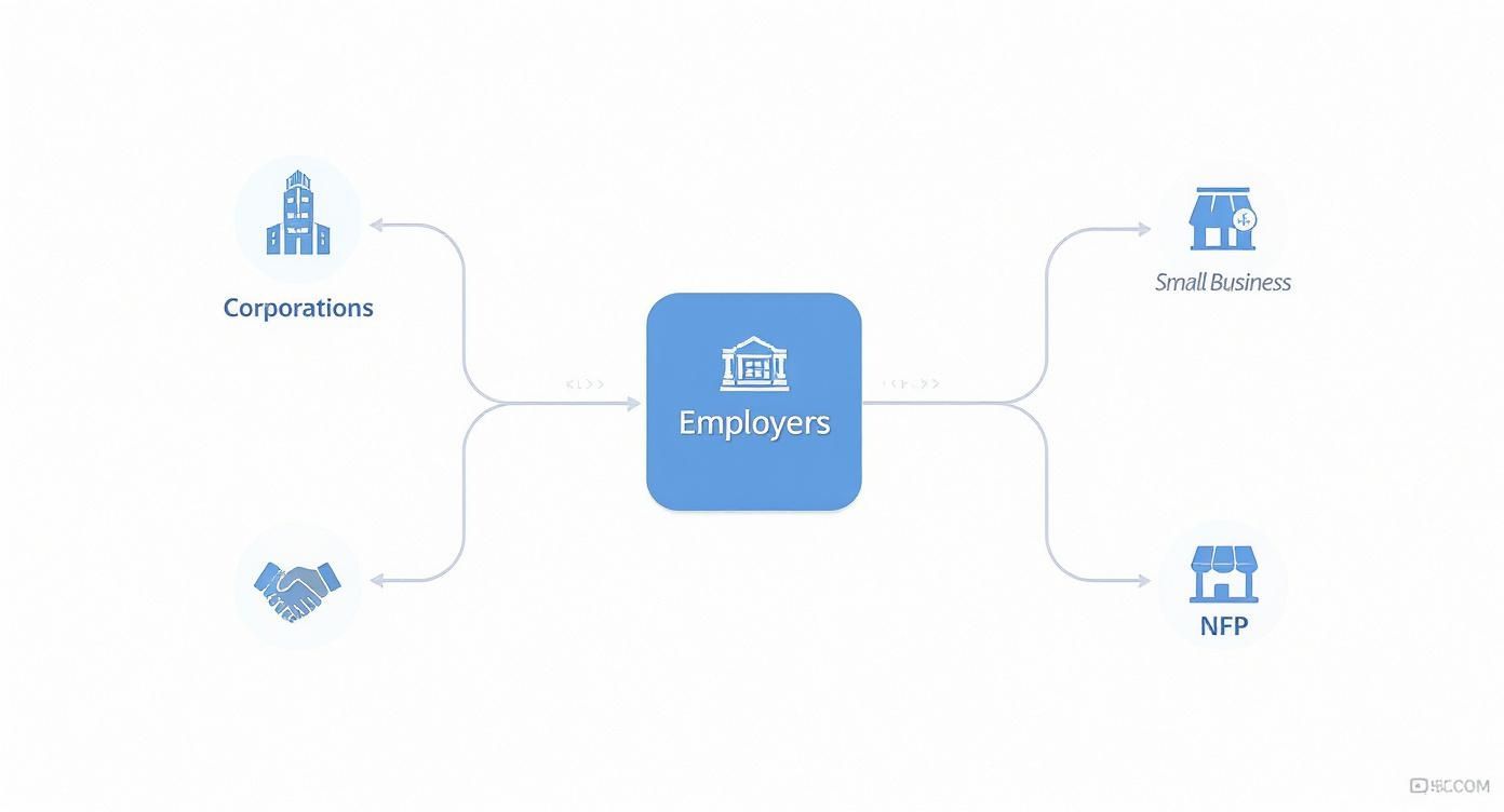 Infographic about single touch payroll requirements