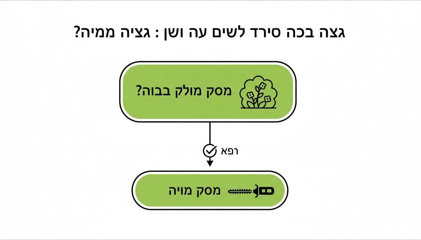דיאגרמה בעברית המציגה שלבים הקשורים לגיזום גדר חיה, עם אייקונים של שיח ומזמרה.