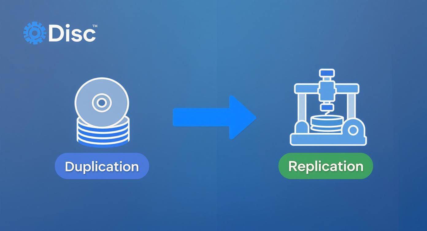 Infographic about cd duplication near me
