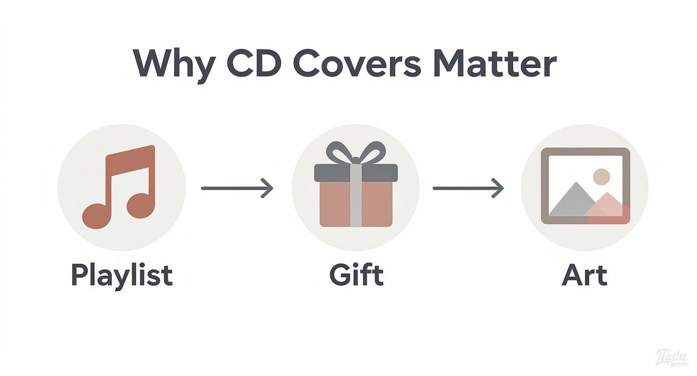 Infographic about cd cover printable